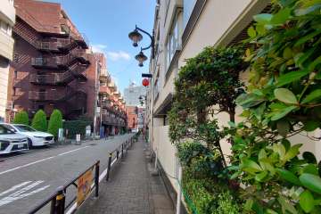 敷地北東側の前面道路（北西側から）