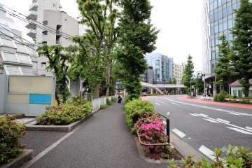 敷地南西側の前面道路