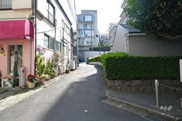 敷地東側の前面道路（北側から）