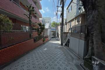 敷地西側の前面道路（北側から）