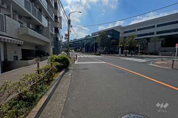 敷地西側の前面道路（南側から）
