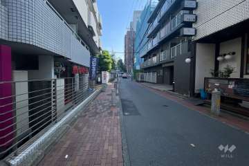 敷地南東側の前面道路（南西側から）