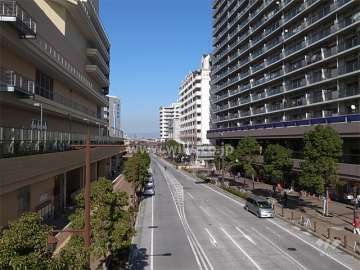 敷地西側の前面道路。歩道が広く、街路樹のキレイな通りです。