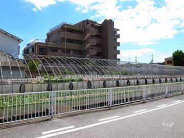 所々に田畑が残りのどかな雰囲気です。