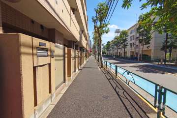 敷地南側の前面道路（西側から）