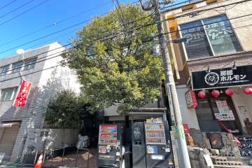 藤和渋谷コープ2の外観（南西側から）