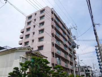 エクセル武庫川の遠景（南西側から）