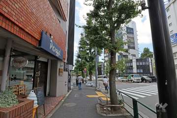 北側前面道路は駒沢通りです。