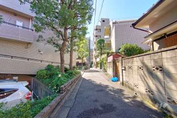 敷地西側の前面道路（北側から）