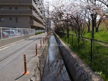 敷地の西側には水路が流れています。
