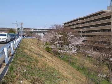 敷地の西側には武庫川が流れています。