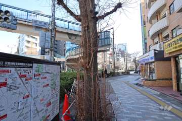 敷地西側の前面道路（南側から）