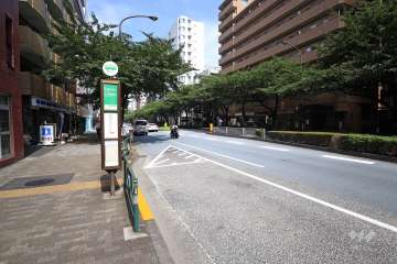 敷地南東側の前面道路