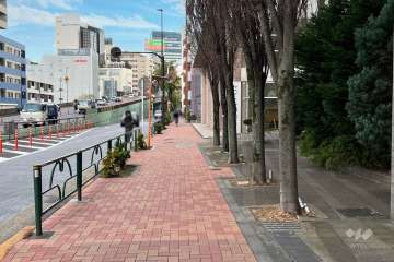 敷地北東側の前面道路