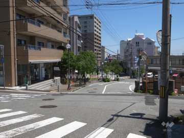 南側の前面道路（西側から）