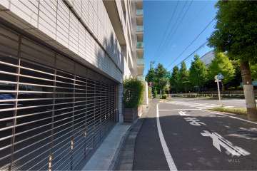 敷地南東側の前面道路（南西側から）