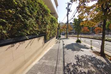 敷地南側の前面道路（西側から）