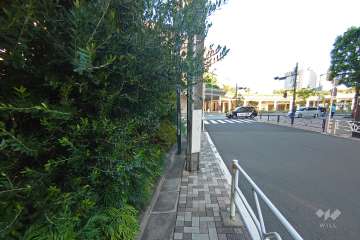 南西側の前面道路（北西側から）
