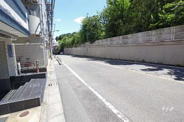 敷地南側の前面道路（西側から）