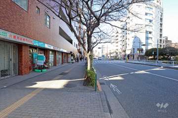 敷地北側の前面道路
