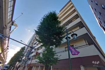 シャトレー幡ヶ谷の外観（南東側から）