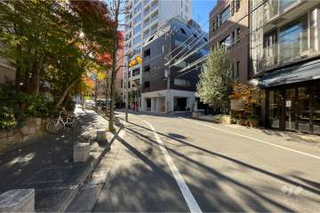 敷地西側の前面道路（北側から）