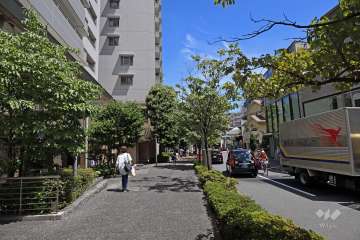 敷地の南側前面道路（西側から）