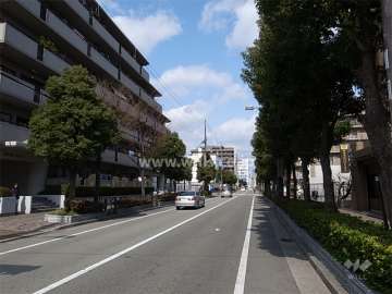 敷地東側の前面道路。JR尼崎駅に続く街路樹のきれいな通りです。