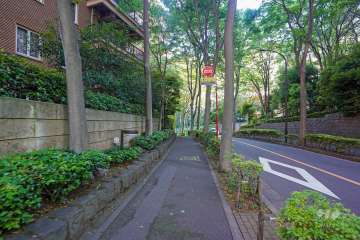 敷地西側の前面道路（北側から）