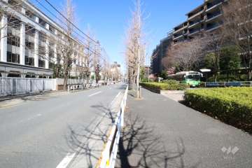 敷地西側の前面道路(南側から)