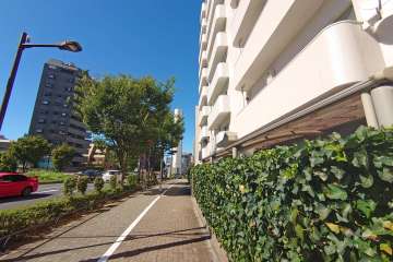 敷地西側の前面道路（南側から）