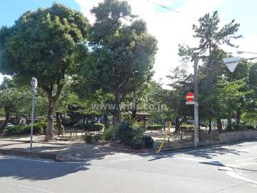 敷地西側、目の前にある若松公園