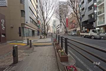 敷地南側の前面道路西側から）