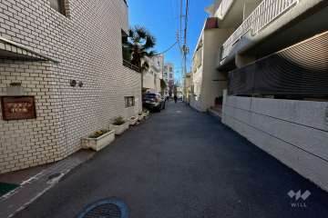 敷地西側の前面道路（北側から）