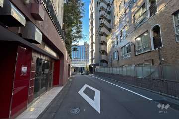 敷地東側の前面道路（北側から）
