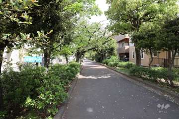 敷地南側の前面道路（西原緑道）