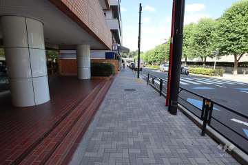 敷地東側の前面道路（南側から）