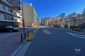 敷地の南東側前面道路（南西側から）