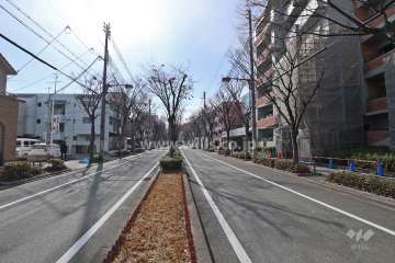 敷地東側の前面道路(北側から)