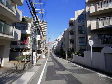 敷地西側の前面道路
