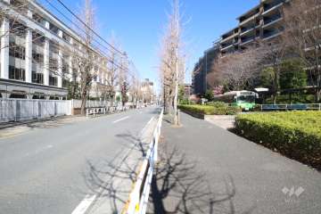敷地西側の前面道路　