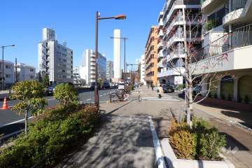 敷地西側の前面道路