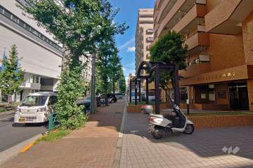 敷地西側の前面道路（南側から）