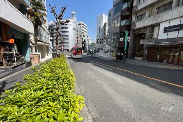 敷地南東側の前面道路（南西側から）