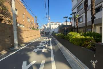 敷地の西側前面道路（南側から）