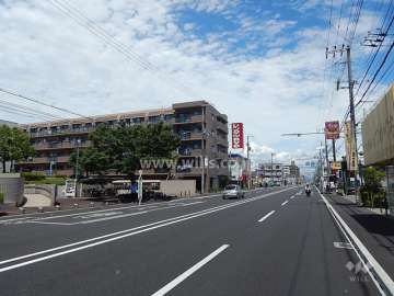敷地東側は県道沿い（五合橋線）に面しています。