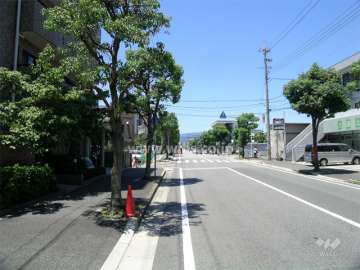 敷地北側の前面道路
