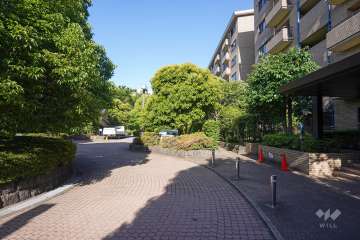 敷地北側の前面道路（西側から）