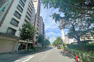 敷地東側の前面道路