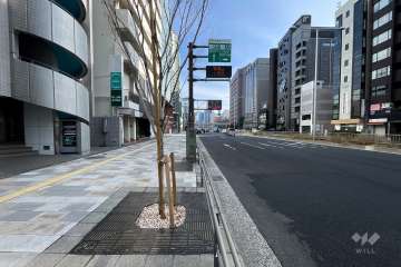 敷地南東側の前面道路